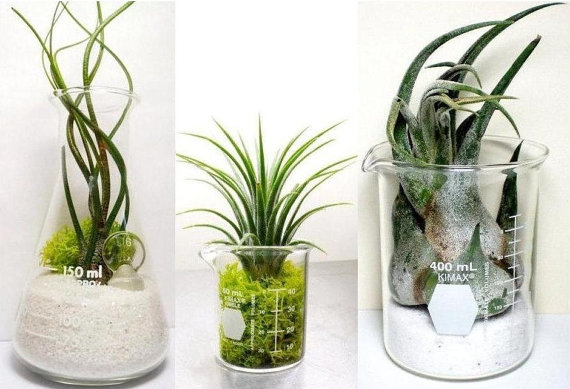 實(shí)驗(yàn)室玻璃器皿玻璃容器